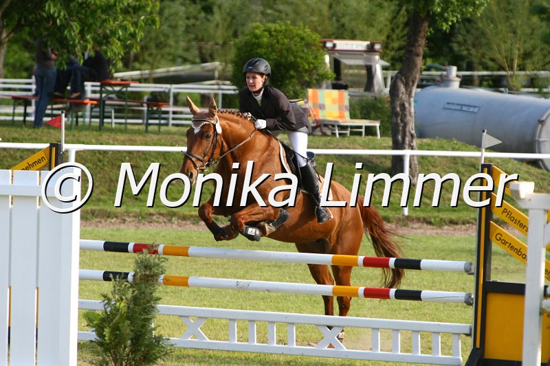 204M1866_Liberty_Stil Axx.JPG